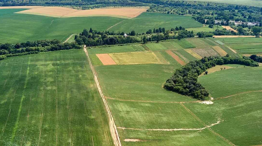 Quelle est la valeur des terres en Seine-et-Marne ?